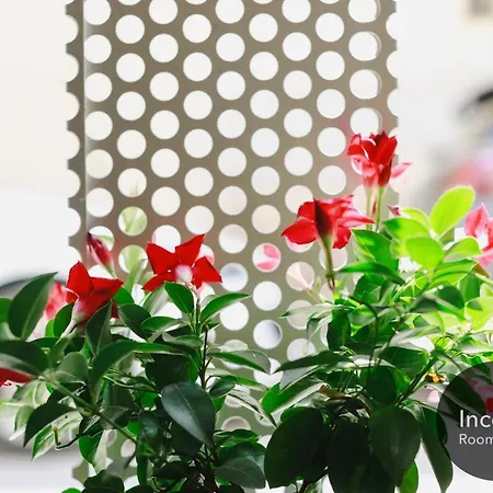 Πανσιόν Incentro